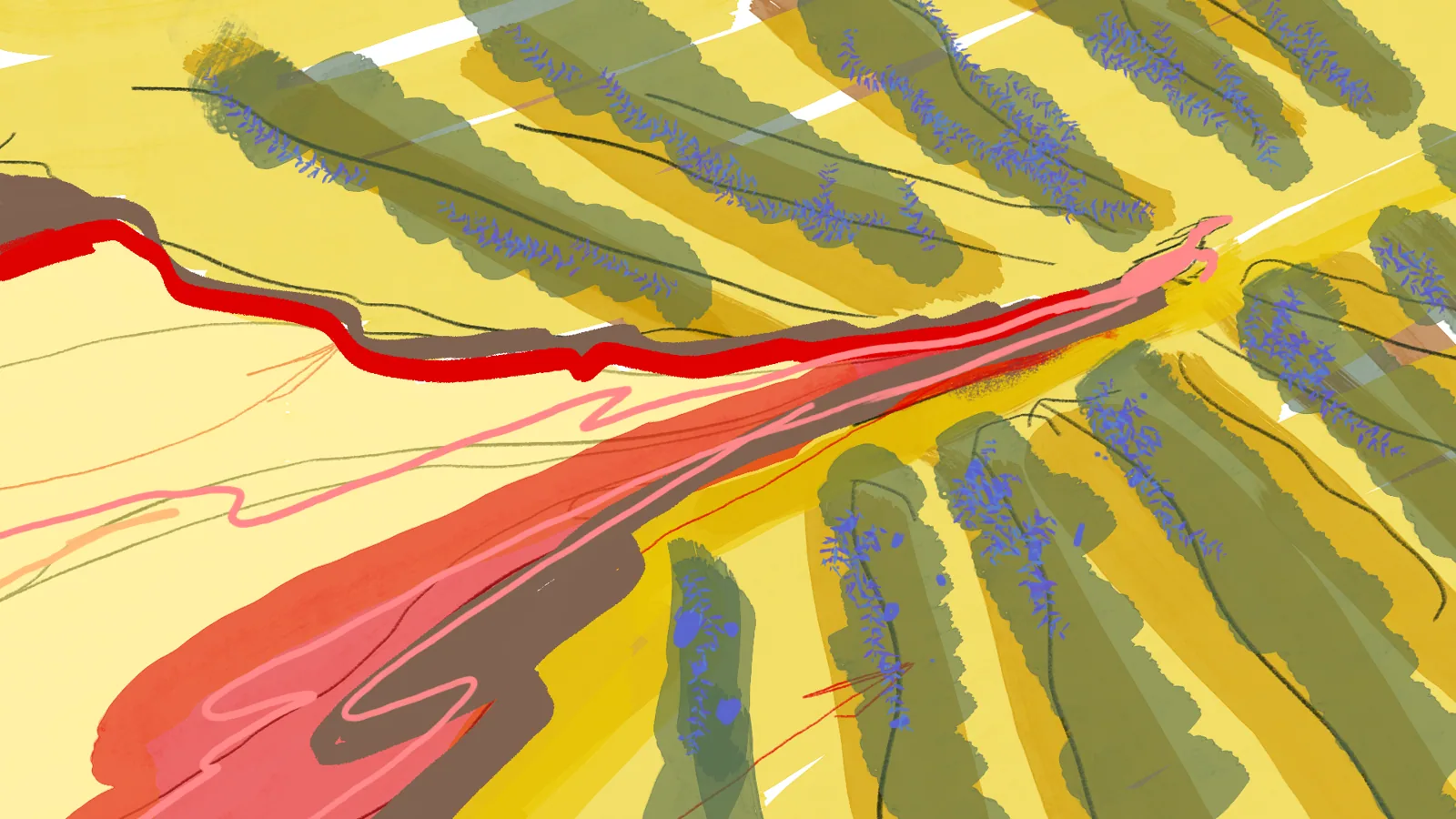 Storyboard: de la carretera a la barrica
